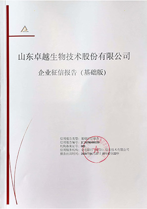 企業(yè)信用報告